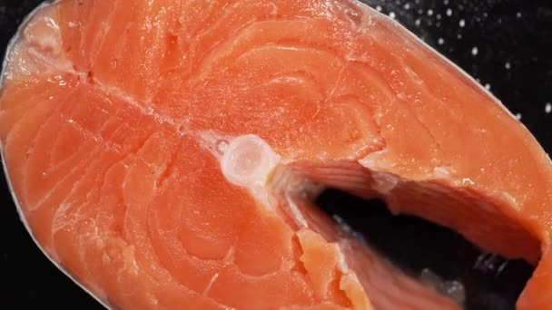 Filete de salmón de cerca sobre un fondo oscuro. — Vídeo de stock