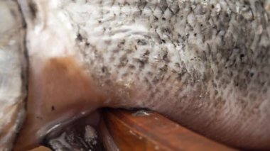 Kesilmemiş taze somon balığı, koyu bir arka planda..