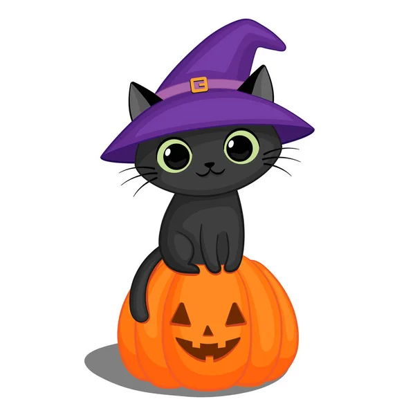 Schwarze Katze mit Hexenhut auf einem Halloween-Kürbis — Stockvektor