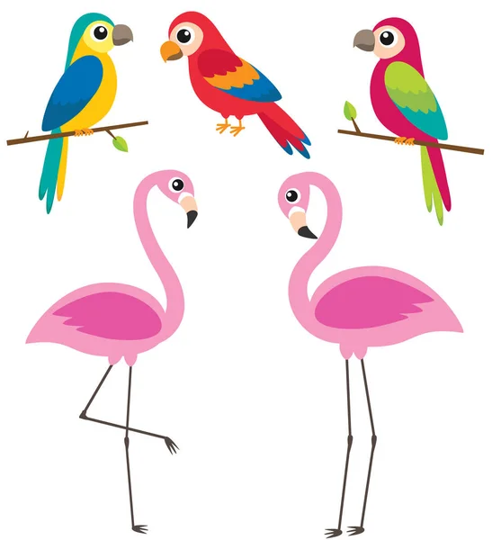 Niedliche Cartoon-Papageien und Flamingos — Stockvektor