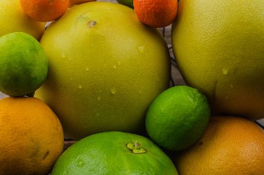 Narenciye meyve portakal, limon, greyfurt, mandalina, limon ahşap arka plan üzerinde