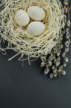 Saman üzerinde üstten görünüm taze yumurta beyazı. Tavuk yumurta yuvada