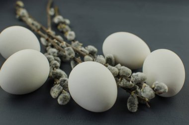 Saman üzerinde üstten görünüm taze yumurta beyazı. Tavuk yumurta yuvada