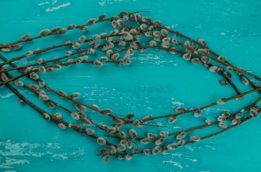 ahşap arka planda kedi söğüt dallar. Boşluk Kopyala