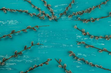 ahşap arka planda kedi söğüt dallar. Boşluk Kopyala