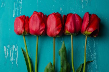 Mavi ahşap arka plan üzerinde Pembe Lale buketi. Yukarıdan görüntüleyin. Seçici odak.