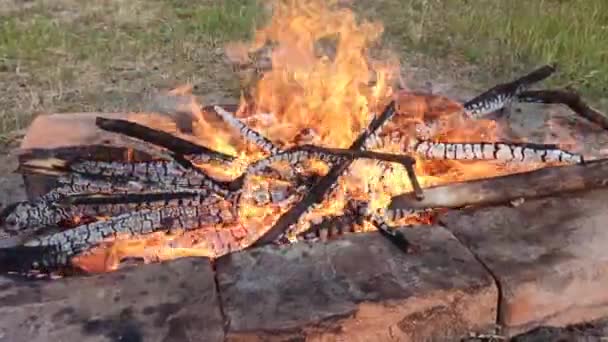 Encender fuego para cocinar carne y costillas . — Vídeo de stock