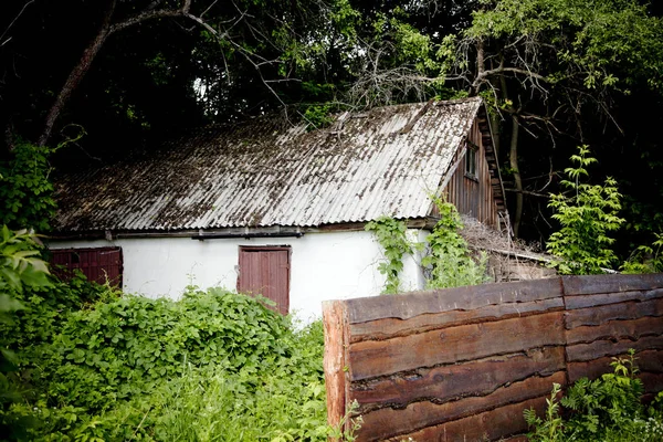 プリピャット チェルノブイリ排除ゾーンの町で放棄され 生い茂った住宅 — ストック写真