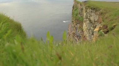 Atlantik adasının dik kıyısı. İzlanda yaz.