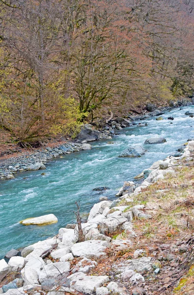 Piękny Widok Górę Bieg Szybki Niebieski Rzeki Kamieniami Brzegach Kolorowym — Zdjęcie stockowe