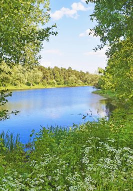 Güzel bir mavi göl, yeşil yapraklar ve beyaz çiçekler.