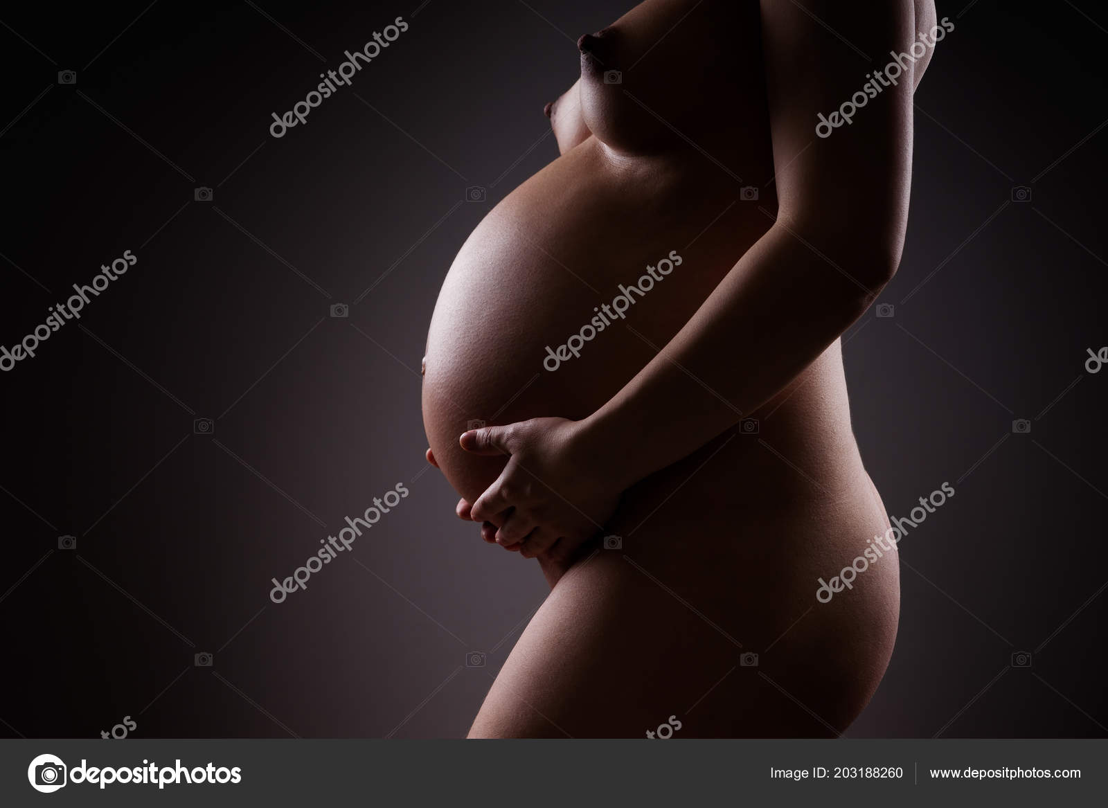 Naked Model Pregnant Girl Photo