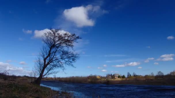 Тімелапс Хмари Над Деревом Біля Річки Сонячний День — стокове відео