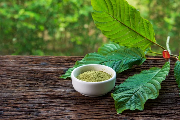 Hojas Mitragynina Speciosa Kratom Con Producto Polvo Cuenco Cerámica Blanca Imagen De Stock