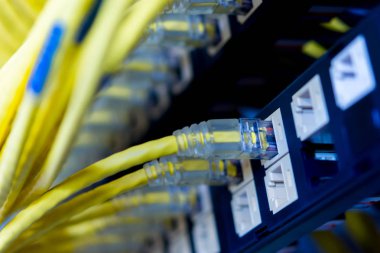 Yama paneline bağlı sarı Utp kabloları