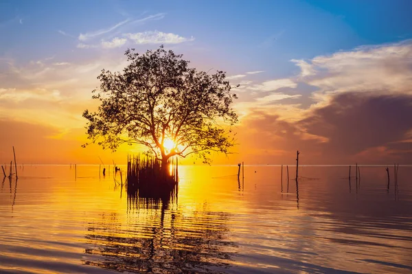 Hermoso paisaje de árbol de silueta en el lago al amanecer en Pakpra, provincia de Phatthalung, Tailandia Imagen De Stock