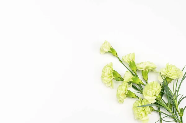 Ramo de flores de clavel aislado en blanco Imagen De Stock