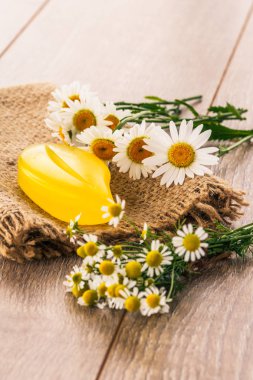 Sarı soap üzerinde çul ahşap kurullarında taze chamomiles buket. Doğal kozmetik ve spa ürünleri