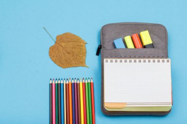 Renkli kalemler, Kuru yaprak, egzersiz kitap çanta-kalem davasında hissettim renkli kalemler ve mavi zemin üzerine marker ile açın. Üstten görünüm kopya alanı ile. Geri okul kavramı. Okul malzemeleri.