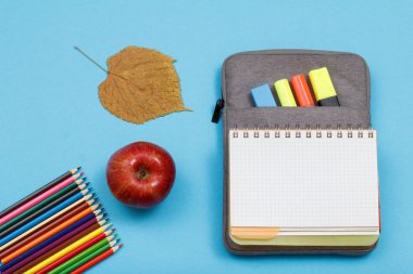 Renk kalemler, elma, Kuru yaprak, hissettim renk kalemler ile çanta-kalem duruma açık alıştırma kitabı ve mavi zemin üzerine marker. Üstten görünüm. Geri okul kavramı. Okul malzemeleri.