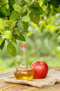 Elma sirkesi mantar ve çul üzerinde taze kırmızı elma ile cam şişe ve eski ahşap kurulları ile doğal arka plan bulanık. Organik Gıda Sağlık için