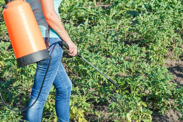 Agricultor Está Protegendo Plantas Batatas Doenças Fúngicas Vermes Com Pulverizador — Fotografia de Stock