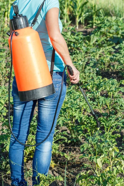 Jardineiro Fêmea Está Protegendo Plantas Batatas Doenças Fúngicas Vermes Com — Fotografia de Stock
