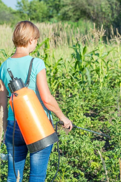 Kadın çiftçi patates bitkiler mantar hastalığı veya haşere basınç spreyi bahçede koruyor
