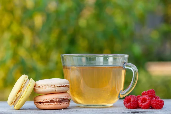 Стеклянная Чашка Зеленого Чая Вкуснейшими Макаронными Пирогами Разного Цвета Свежей — стоковое фото