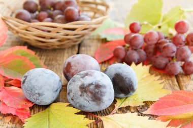 Sonbahar natürmort üzüm ve hasır sepet arka planda, yeşil, sarı ve kırmızı erik ahşap kurullarında bırakır