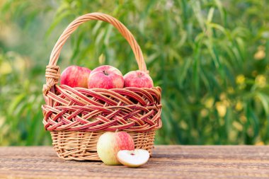 Sadece arka bahçe ağaçları ile eski ahşap kurullarında hasır sepet içinde kırmızı elma aldım. Sadece hasat meyve. Sığ derinlik-in tarla. Sepet üzerinde odaklanmak