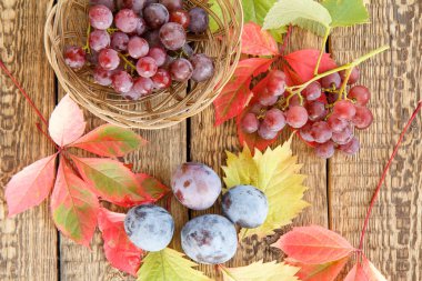 Sonbahar natürmort Erik, üzüm ve hasır sepet, yeşil, sarı ve kırmızı ahşap kurullarında bırakır