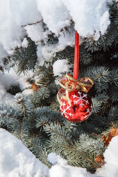 Red Christmas Ball Hanging Spruce Tree Branches Covered Snow Green — Stock Photo, Image