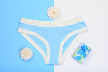 Güzel iç çamaşırı hediye kutusu ve çiçeklerle mavi ve beyaz arka plan üzerinde. Kadınlar seksi iç çamaşırı ayarlayın. Romantik iç çamaşırı yoldan çıkarmak için. Sevgililer günü kavramı.