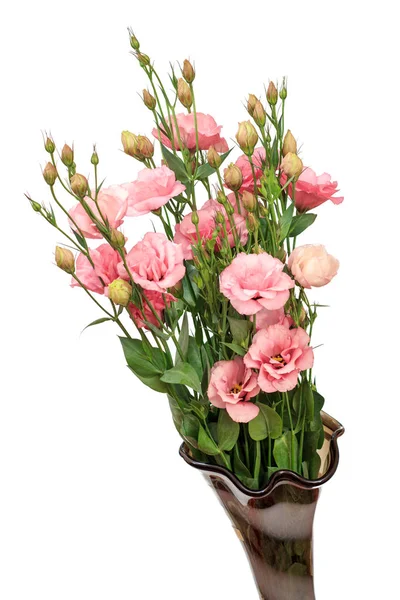 Mooi Boeket Van Roze Bloemen Glasvaas Witte Geïsoleerde Achtergrond — Stockfoto