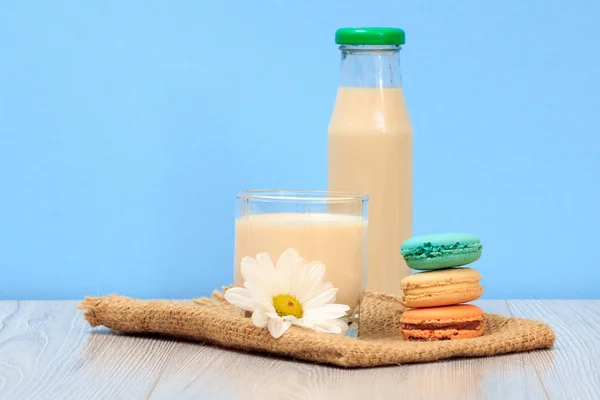 Bottle Glass Fresh Milk Chamomile Flower Macaroons Blue Background — Stock Photo, Image