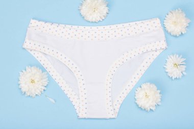 Güzel kadınlar mavi zemin üzerine çiçek tomurcuklu külot Pamuk. Kadın iç çamaşırı ayarlayın. Üstten görünüm.