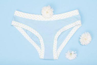 Güzel iç çamaşırı mavi zemin üzerine çiçek tomurcukları ile. Kadın iç çamaşırı ayarlayın. Üstten görünüm.