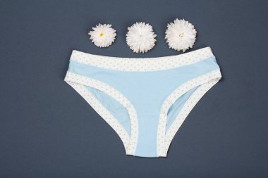 Güzel iç çamaşırı gri arka plan üzerinde çiçek tomurcukları ile. Kadın iç çamaşırı ayarlayın. Üstten görünüm.