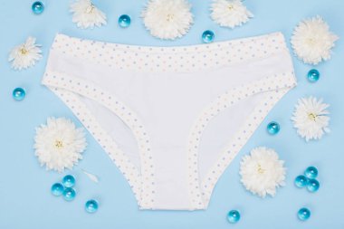 Güzel kadınlar mavi zemin üzerine çiçek tomurcuklu külot Pamuk. Kadın iç çamaşırı ayarlayın. Üstten görünüm.