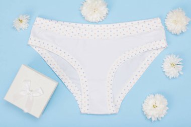 Güzel külot ve hediye kutusu mavi zemin üzerine. Kadınlar seksi iç çamaşırı ayarlayın. Yoldan çıkarmak için romantik iç çamaşırı.