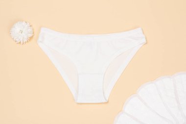 Güzel beyaz külot ile Sıhhi Peçete bej renkli arka plan üzerinde. Kadın iç çamaşırı ayarlayın. Üstten görünüm.
