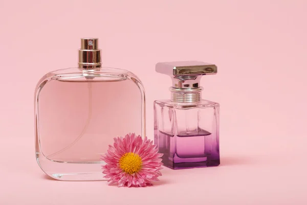Bottles with women perfume and bud of flower in a pink background. Women products.