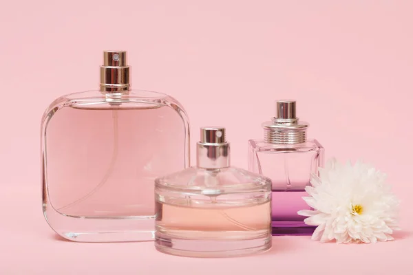 Bouteilles Avec Des Femmes Parfum Bourgeon Fleurs Dans Fond Rose — Photo