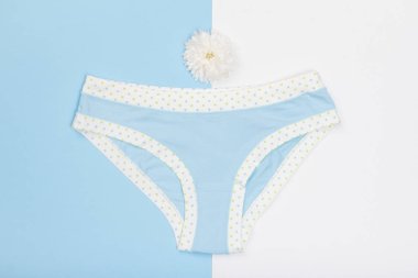 Mavi ve beyaz arka plan üzerinde güzel pamuk külot. Kadın iç çamaşırı ayarlayın. Romantik iç çamaşırı.