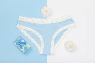 Güzel iç çamaşırı hediye kutusu ve çiçeklerle mavi ve beyaz arka plan üzerinde. Kadınlar seksi iç çamaşırı ayarlayın. Romantik iç çamaşırı yoldan çıkarmak için. Sevgililer günü kavramı.