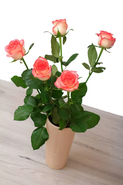 Beautiful Bouquet Pink Roses Ceramic Vase Table White Background Celebration — Stock Photo, Image