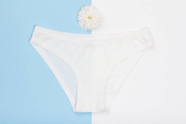 Güzel pamuk külot ve mavi ve beyaz arka plan üzerinde çiçek tomurcuğu. Kadın iç çamaşırı ayarlayın. Romantik iç çamaşırı.
