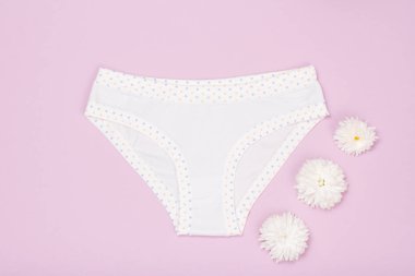 Çiçek tomurcukları pembe bir arka plan üzerinde kırmızı pamuk külot. Kadın iç çamaşırı ayarlayın. Üstten görünüm.