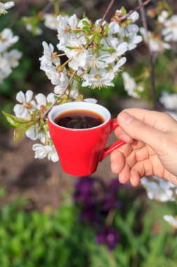 El bir kırmızı porselen fincan kahve çiçekli kiraz ağacı arka planda tutar. Seçici odak Kupası.